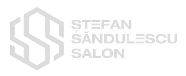 Stefan Sandulescu Salon